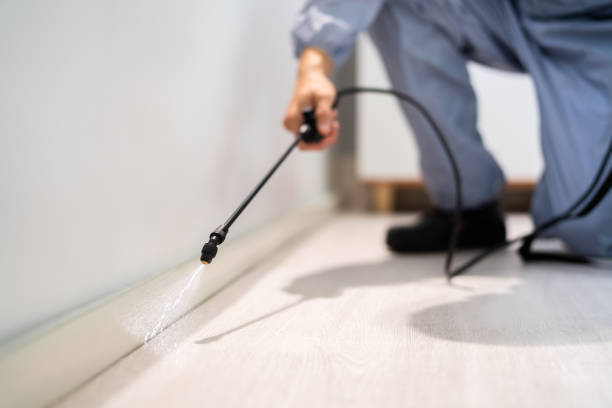 Licensed Cockroach Control service in Shell Point, SC - Nex Pest Control